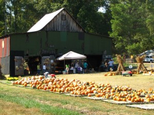 The Pumpkin Barn