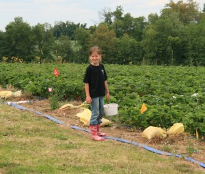 Brooke getting ready to pick.