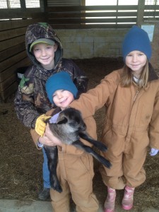 The kids showing the newborn lamb born in December. 